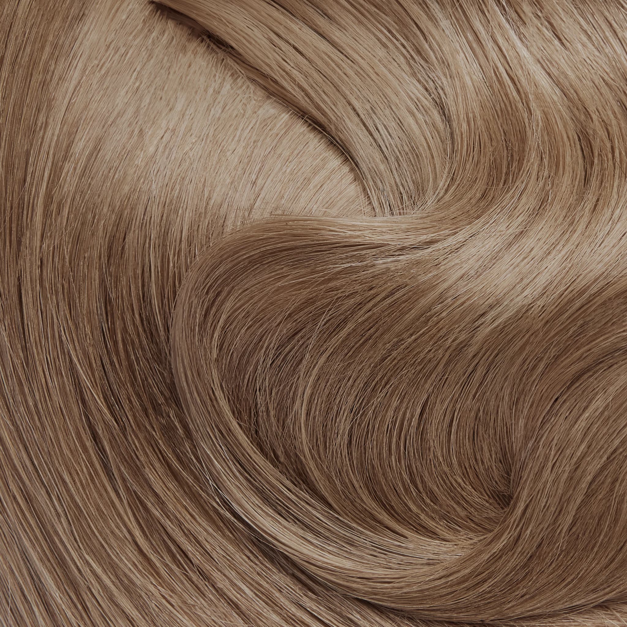 Shade Swatches - Image 8