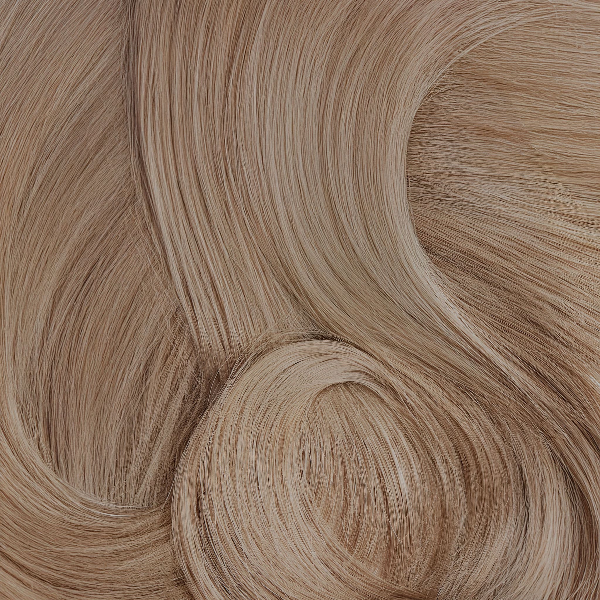 Shade Swatches - Image 9